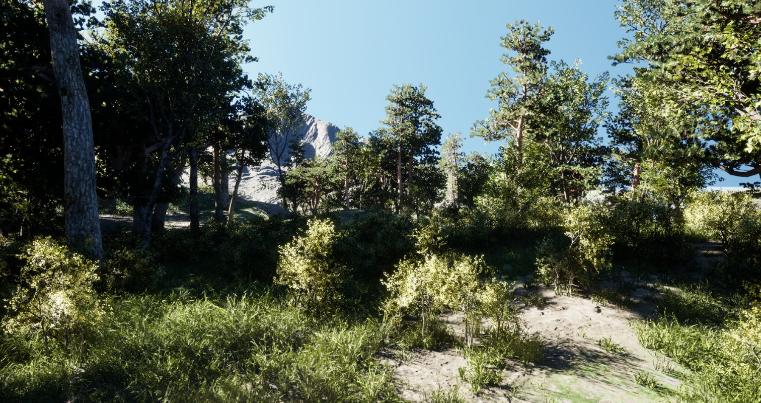 Photorealistic forest